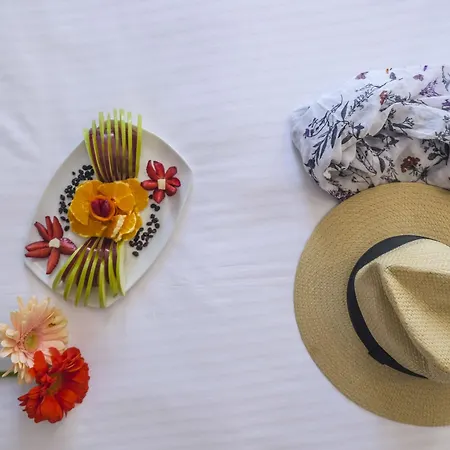 Hotel Lotus Atene
